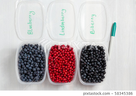 Berries laid out in containers, signed with a marker and prepared for freezing and storage, top view 58345386