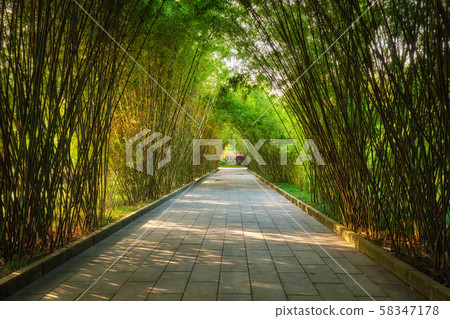 Wangjianglou park. Chengdu, Sichuan, China Wangjianglou park. Chengdu, Sichuan, China 58347178