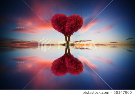 Abstract image of lonely red color leaf and love shape tree at sunrise scene with reflection in water. Abstract image of lonely red color leaf and love shape tree at sunrise scene with reflection in water. 58347960