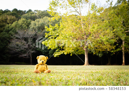 Bear stuffed toy sitting on the grass Bear stuffed toy sitting on the grass 58348153