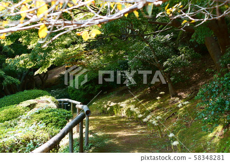 陽光和陽光的路徑 陽光和陽光的路徑 58348281