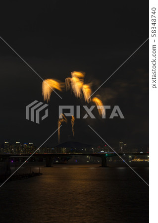 煙花,汝矣島,首爾 煙花,汝矣島,首爾 58348740