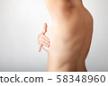 Attractive nude woman self-examing her breast. 58348960