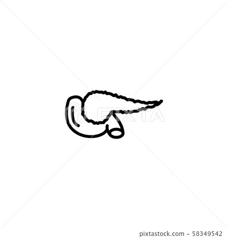 Web line icon. Pancreas black on white background Web line icon. Pancreas black on white background 58349542