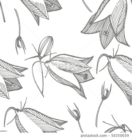 Bellflower blossoms, leaves and bouquets set. Natural summer, spring meadow plants monochrome Bellflower blossoms, leaves and bouquets set. Natural summer, spring meadow plants monochrome 58350039