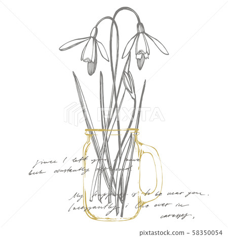 Snowdrop spring flowers. Botanical plant illustration. Vintage medicinal herbs sketch set of ink 58350054