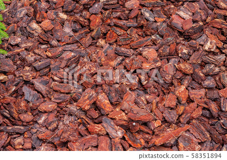 horizontal background from bark of a pine tree for a soil covering. horizontal background from bark of a pine tree for a soil covering. 58351894