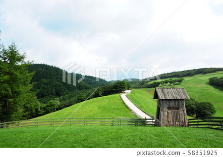 韓國江原道大關嶺羊牧場的風景 58351925