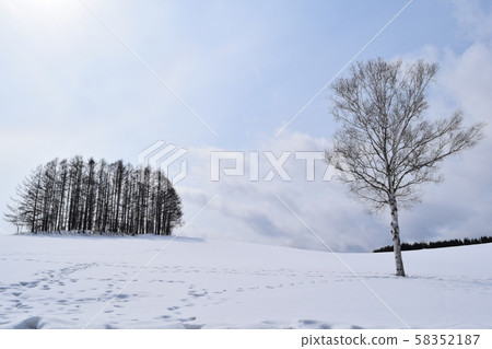 溫和七山 58352187