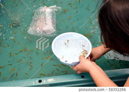 Medaka獨家新聞 58352266