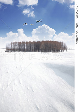 Season, landscape 58352678