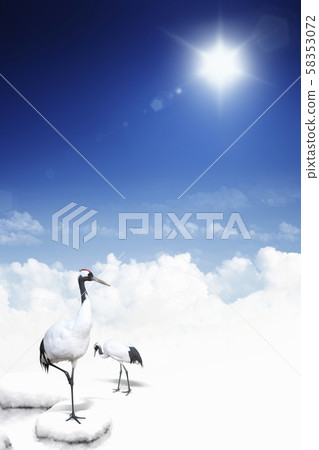 animal animal 58353072