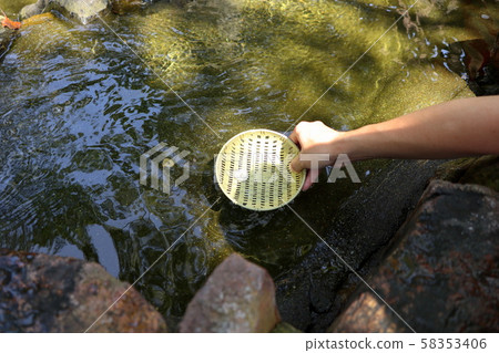 Money Wash White Dragon King White Dragon Pond Ejima Shrine Enoshima 58353406