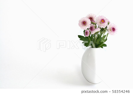 Plants, flowers Plants, flowers 58354246