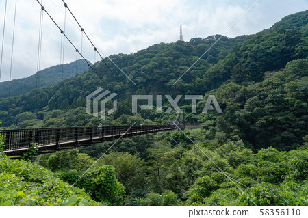 Niger, Tochigi Pref. Kinuiwaiwa Great Suspension Bridge (August) Niger, Tochigi Pref. Kinuiwaiwa Great Suspension Bridge (August) 58356110