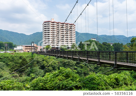 Niger, Tochigi Pref. Kinuiwaiwa Great Suspension Bridge (August) 58356116