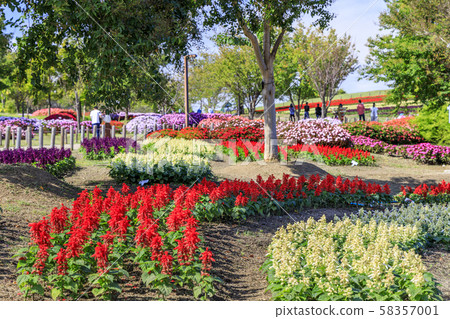 鮮味山坡公園秋天 58357001