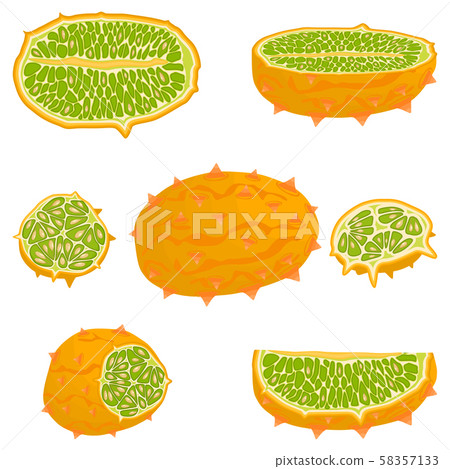 Illustration on theme big set different types Illustration on theme big set different types 58357133