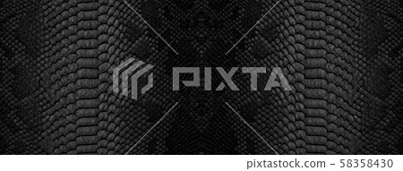 Snake skin background. Panoramic web banner with 58358430