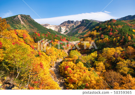 十勝岳溫泉的紅葉 58359365