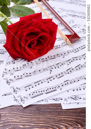 Violin bow and rose on musical notes. Violin bow and rose on musical notes. 58360062