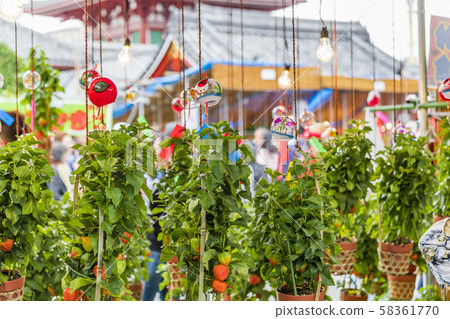[Asakusa Senso-ji Temple Hoozukiki City] 58361770