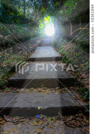 Hiking to the Light 58361894