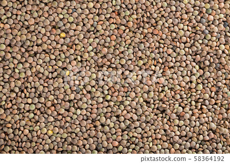 Lentil background Lentil background 58364192