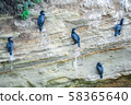 La Jolla Sea Ridge 58365640