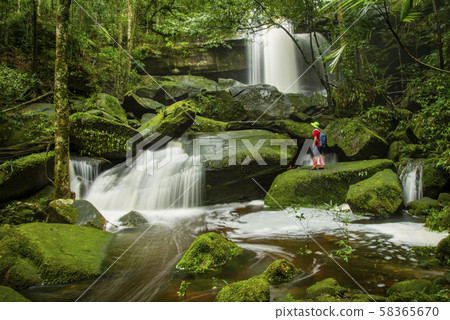 Waterfall thailand landscape beautiful rainforest Waterfall thailand landscape beautiful rainforest 58365670
