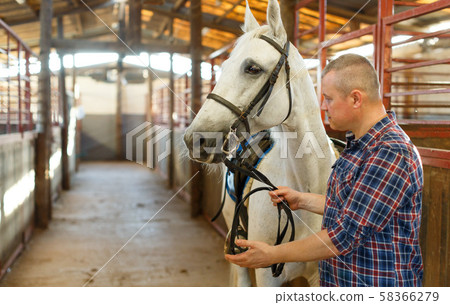 Positive man farmer with white horse standing at stabling indoor Positive man farmer with white horse standing at stabling indoor 58366279