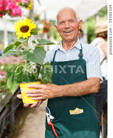 Senior man in glasshouse 58366384