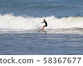 衝浪 58367677
