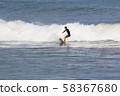 衝浪 58367680