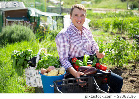 Portrait of man gardener holding basket with harvest of vegetables 58368180
