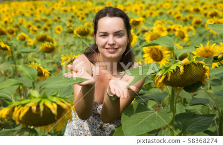 Girl in sunflowers field Girl in sunflowers field 58368274