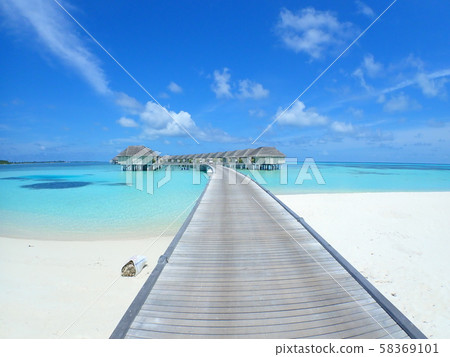 馬爾代夫度假勝地阿里環礁 58369101
