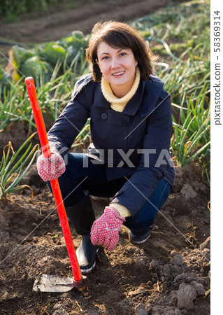 Woman hoeing in garden Woman hoeing in garden 58369314