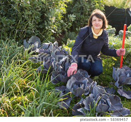 Woman working in garden 58369457