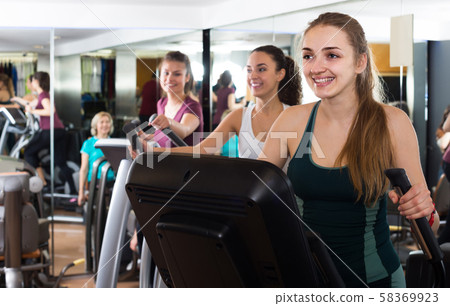 females training on elliptical trainers in fitness club females training on elliptical trainers in fitness club 58369923