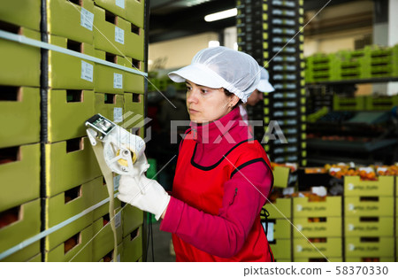 worker in uniform stickering barcodes on boxes of apricots 58370330