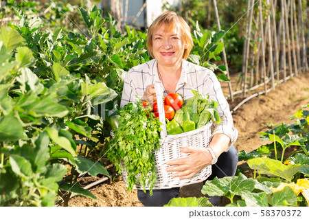Mature gardener with harvested greens 58370372