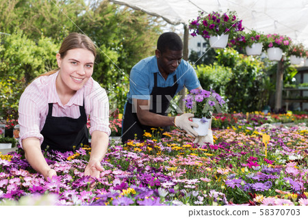 Florists working in greenhouse 58370703