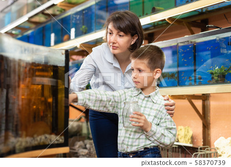 Woman with son looking for aquarium fishes Woman with son looking for aquarium fishes 58370739