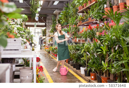 Portrait of woman florist with baskets of flowers in flower shop Portrait of woman florist with baskets of flowers in flower shop 58371648