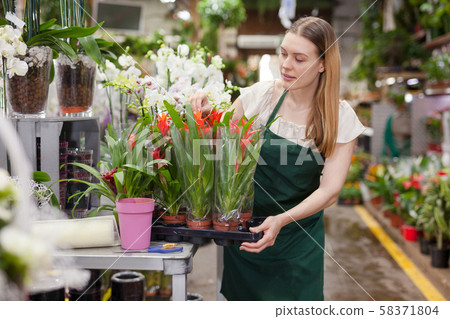 Flower shop seller holding bromeliad pots Flower shop seller holding bromeliad pots 58371804