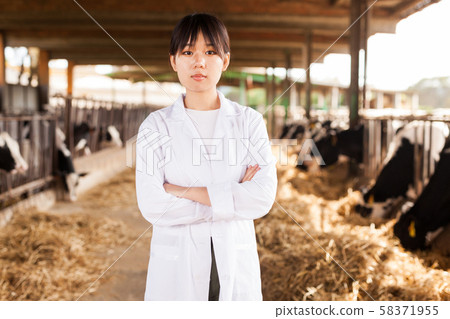 Professional female vet standing near calves barn in livestock farm 58371955