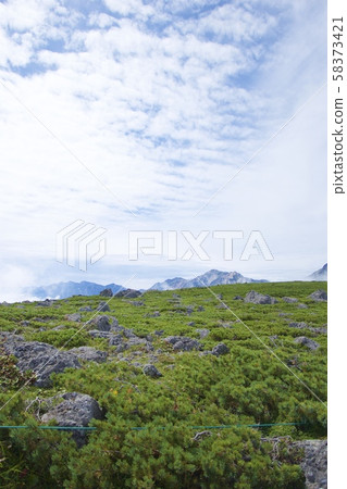View of the mountain path from Tengubara to Hakuba Norikura (Hakuba mountain range, Kita-Azumi, Nagano) View of the mountain path from Tengubara to Hakuba Norikura (Hakuba mountain range, Kita-Azumi, Nagano) 58373421