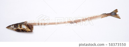 Bone after eating saury on white background 58373550