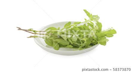 Holy Basil,Ocimum sanctum isolate on white background Holy Basil,Ocimum sanctum isolate on white background 58373870